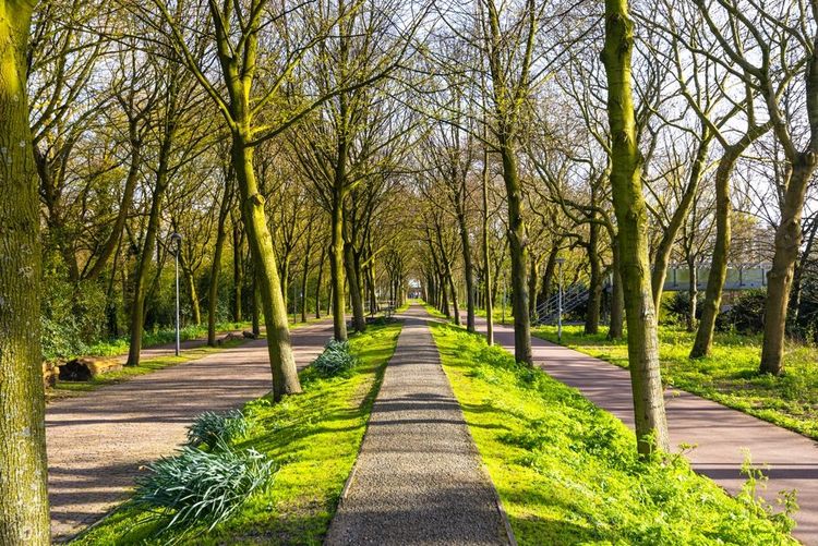 Piste cyclable dans un parc à proximité de Rotterdam