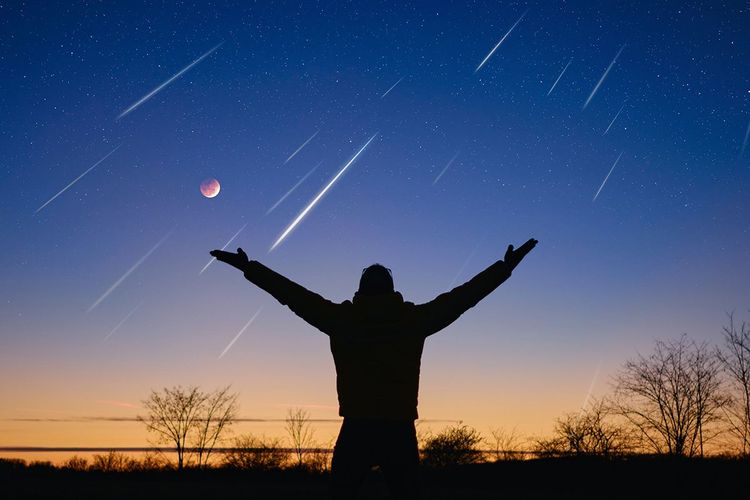 L'observation du ciel, une passion pour certains