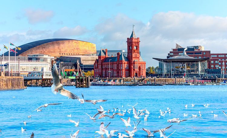 Cardiff: Discover the capital of the country