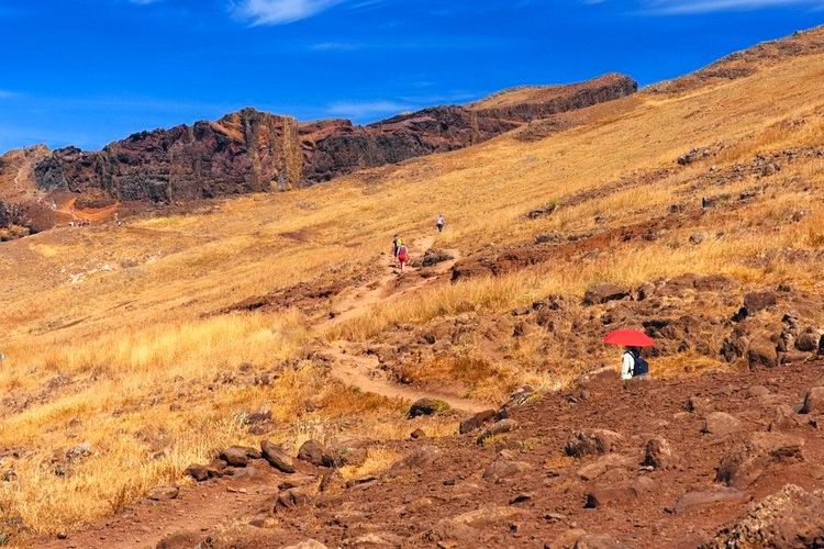 Excursion dans la réserve naturelle de Ponta de São Lourenço