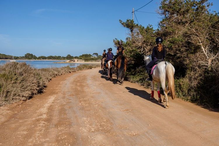 Randonnée à cheval sur le cami de S'Estany, Estany des Peix