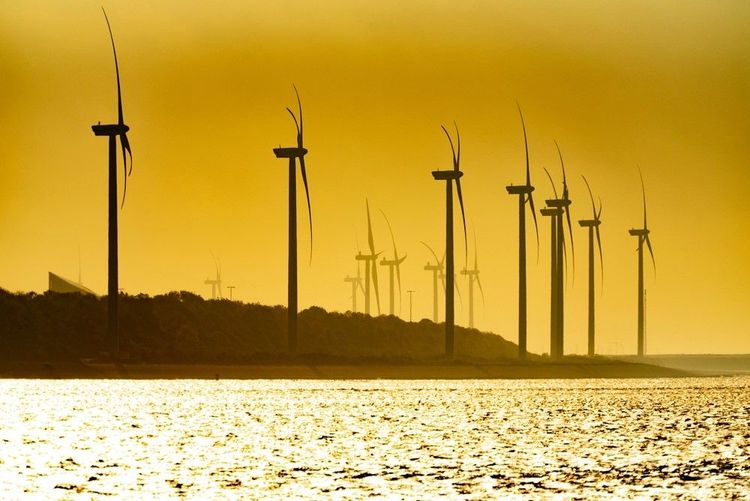 La ligne des éoliennes, en périphérie du port