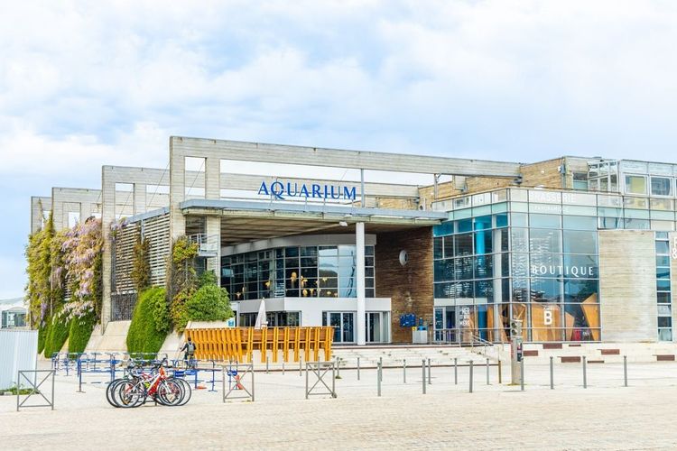 L'aquarium de La Rochelle.