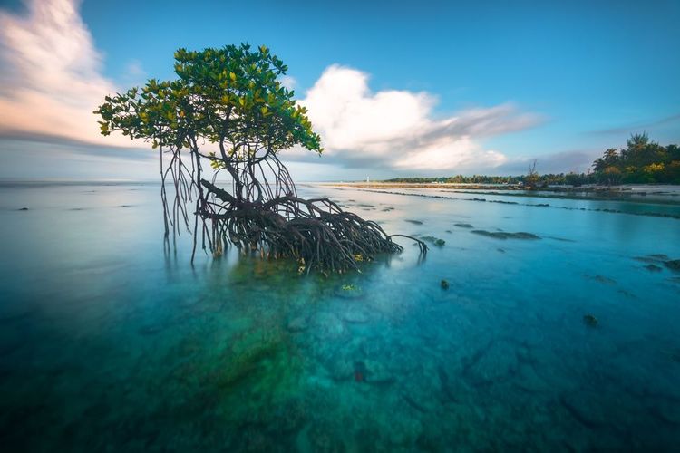 Mentawai