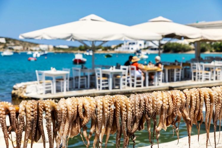 Rêveries culinaires à Paros : un voyage au cœur de la gastronomie grecque