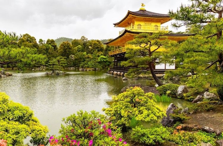 Le temple d'Or, Kinkaku-ji, domine le lac bordé d'arbrisseaux gras