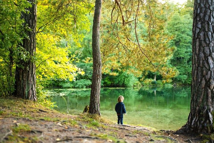 Enfant dans le parc régional de Verkiai, à Vilnius