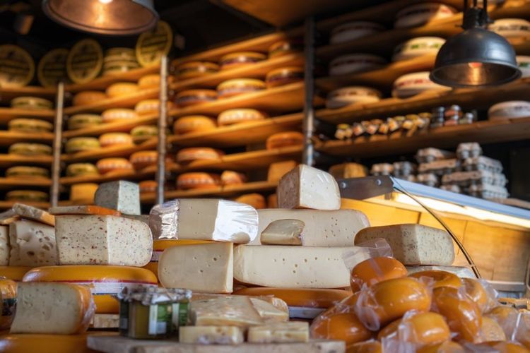 Dam et gouda, les signatures fromage de Rotterdam