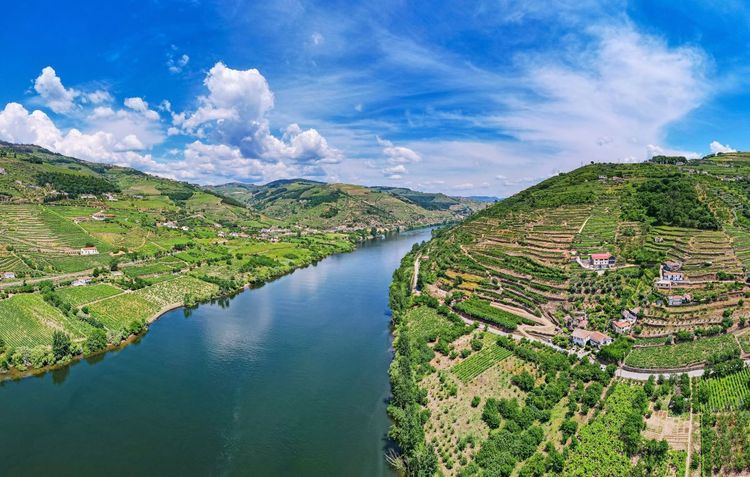 La vallée du Douro et ses vignobles