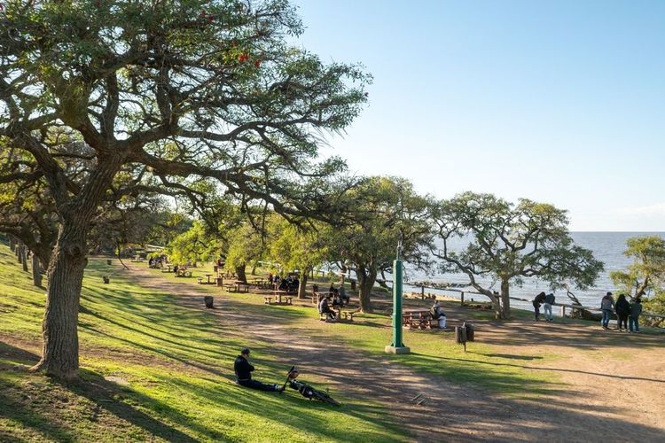  réserve écologique de la Costanera Sur, Buenos Aires, Argentine