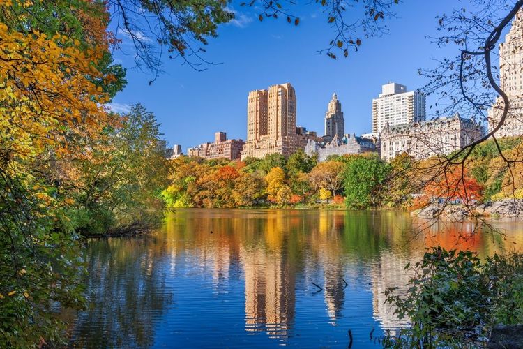 Les buildings de New York, depuis Central Park.