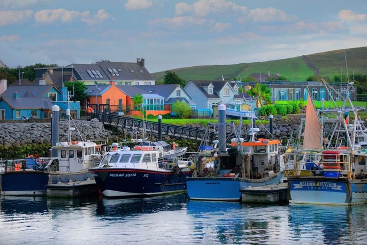 Le port de Dingle et ses maisons colorées en arrière-plan.