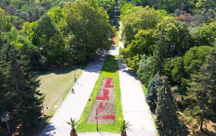 La belle coulée centrale fleurie du jardin