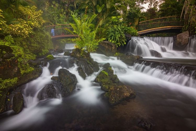 Sources thermales naturelles de Tabacon, Costa Rica