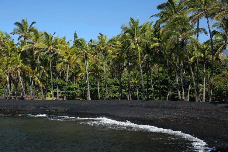 Parc de la plage de Punalu'u - Hawaï