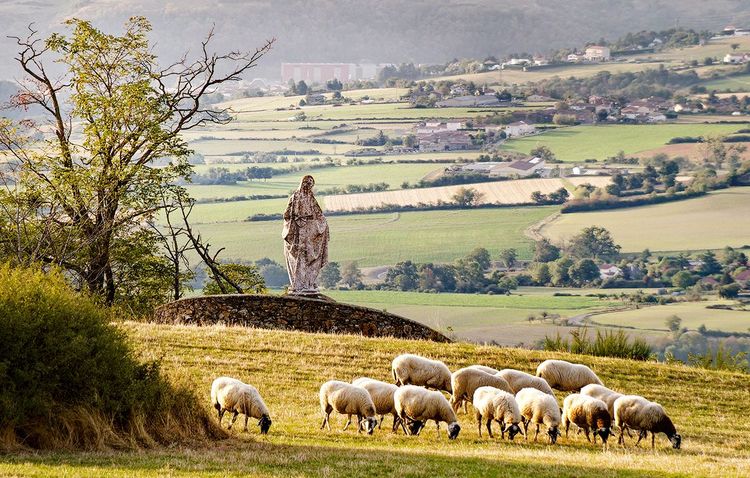 La Vierge de Riverie au milieu des moutons