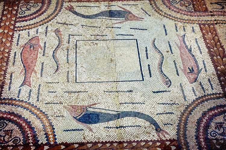 Mosaïques représentant divers poissons dans les thermes de Sbeitla. On est pourtant à 170 km de la mer
