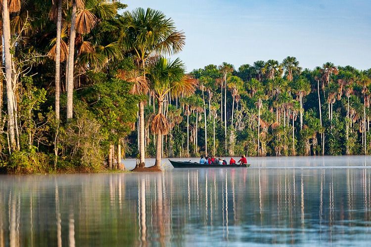 Excursion sur le lac Sandoval, dans la réserve nationale de Tambopata, dans la forêt amazonienne (Pérou)