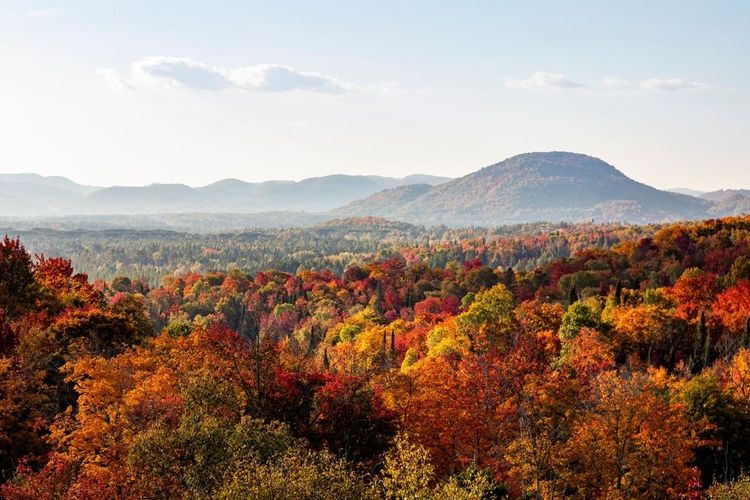 Parc national du Mont-Tremblant