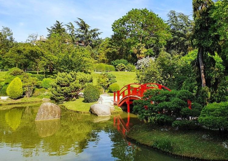 Le jardin japonais et son pont de bois caractéristique