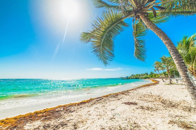 Plage de Raisins Clairs en Guadeloupe