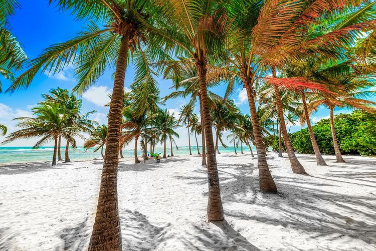 La plage de Bois-Jolan, à Basse-Terre, en Guadeloupe