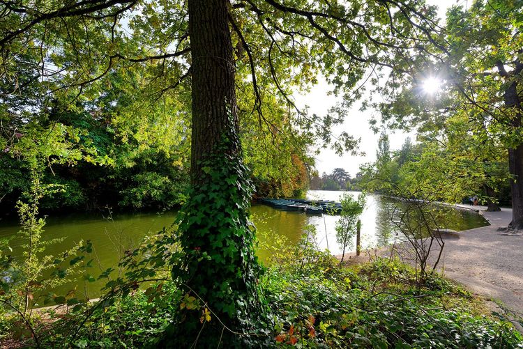 La promenade le long du lac des Minimes