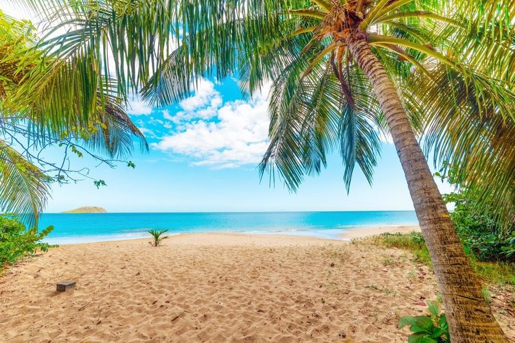 La plage de la Perle à Deshaies