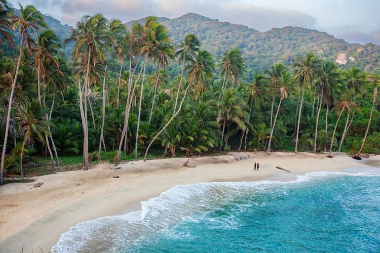 Parc national de Tayrona, Colombie, Amérique du Sud