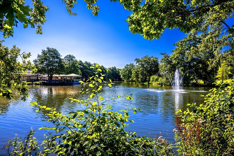 Le parc de Slottskogen, verdure, étangs et jets d'eau