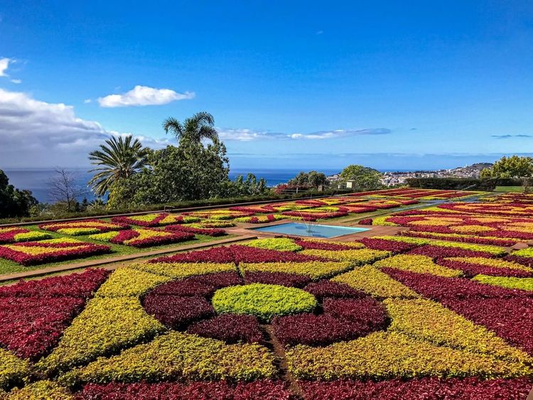 Le Jardin botanique de Madère