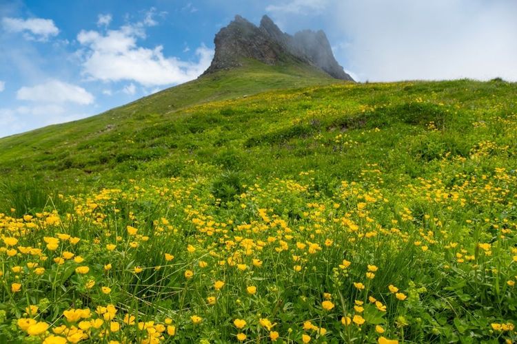 Grindelwald