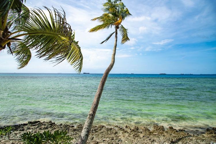 Le front de mer de Tuvalu