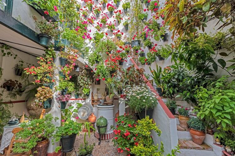 Une façade de maison à Cordoue pendant le concours des patios, Espagne, Andalousie 