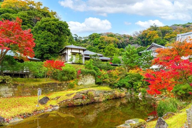 Évasion envoûtante : à la découverte de Kamakura depuis Tokyo
