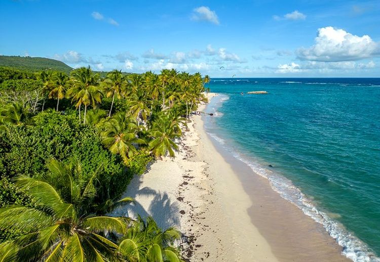 Plage à Marie Galante