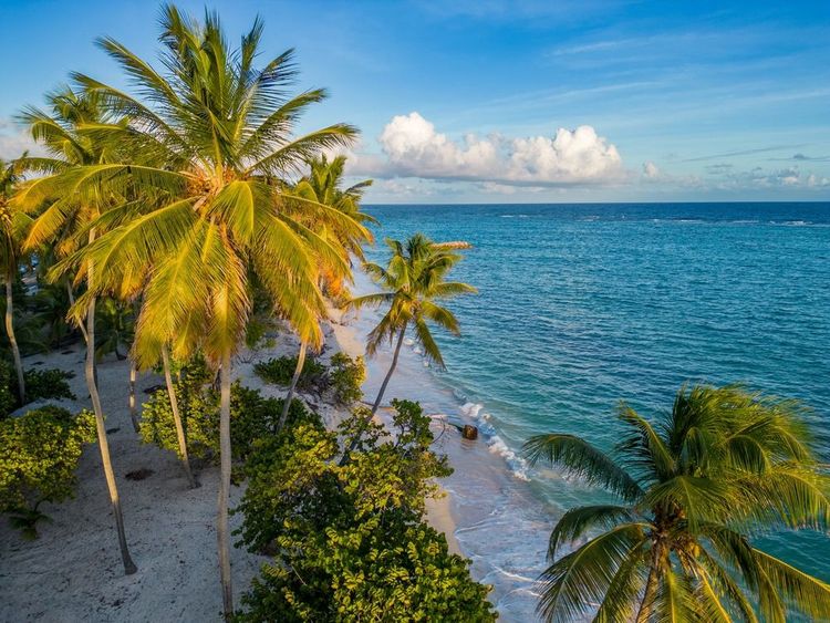 Plage paradisiaque de Marie-Galante.