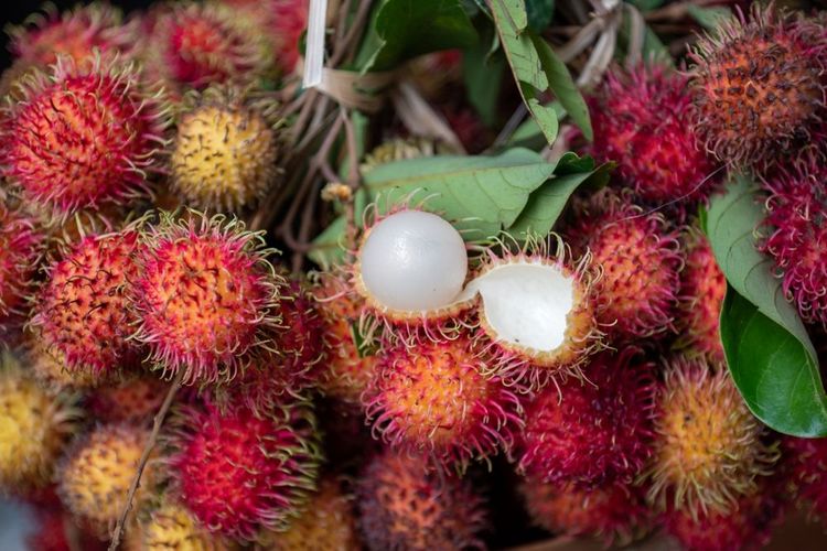Le rambutan, un fruit tropical à la peau externe rouge et verte poilue dans les pays d'Asie du Sud-Est