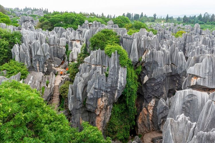 Karst de Shilin et Chine
