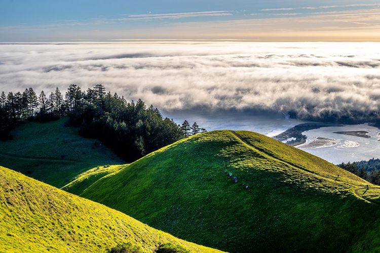 Brumes sur le mont Tamalpais