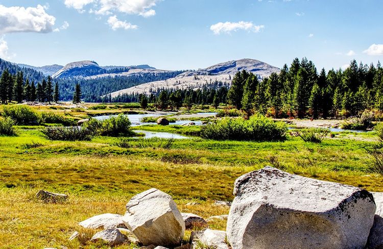 Tuolumne Meadows sur le col de Tioga dans le parc national Yosemite