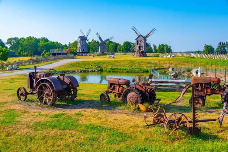 Les moulins à vent Angla Tuulikuo sur l'île de Saaremaa, Estonie