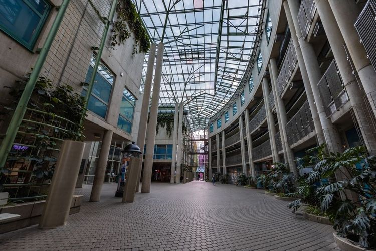 bibliothèque universitaire
