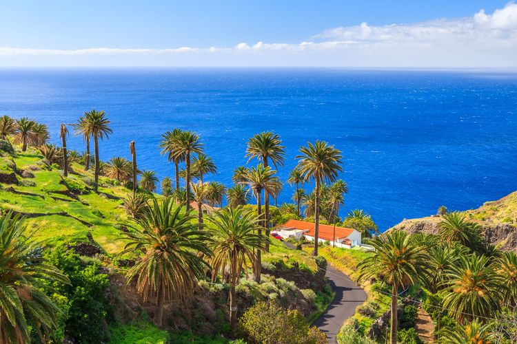 Nature holidays in La Gomera