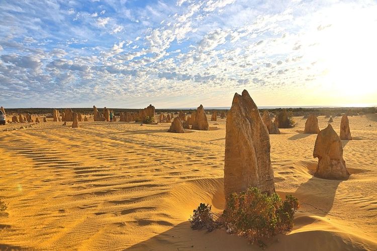 Désert des Pinnacles, Australie 