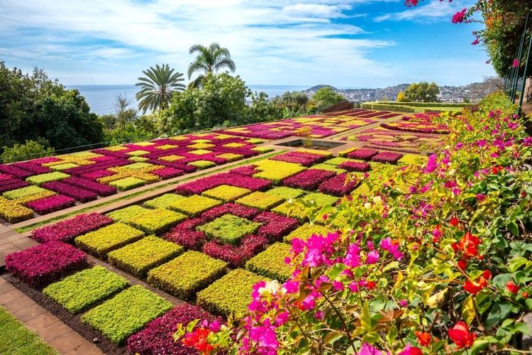 Le très renommé jardin botanique de Funchal