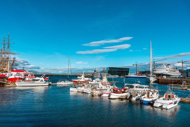 Plongée dans l'histoire au port de Reykjavik