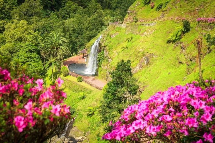 le parc enchanteur de Ribeira dos Caldeiroes à Sao Miguel