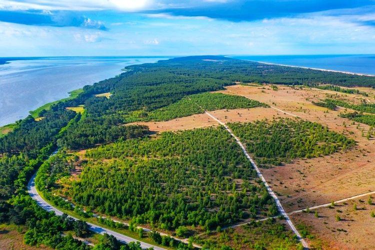 Vue aérienne sur le parc du Curonian Spit