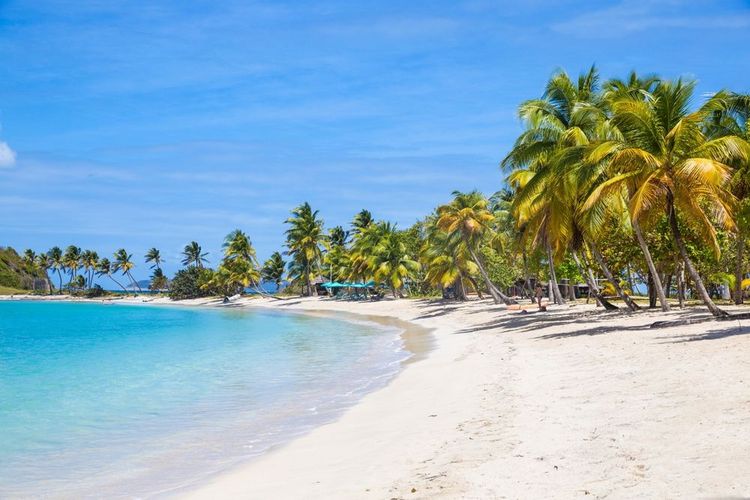 Une plage des Caraïbes dans les îles Grenadines